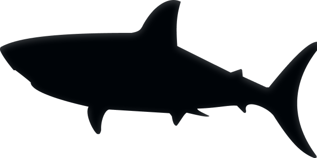 Shark image